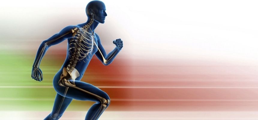 Essential Nutrients for Strong Bones: How to Prevent Osteoporosis Naturally